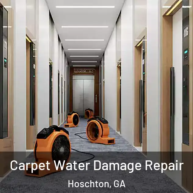  Carpet Water Damage Repair Hoschton, GA