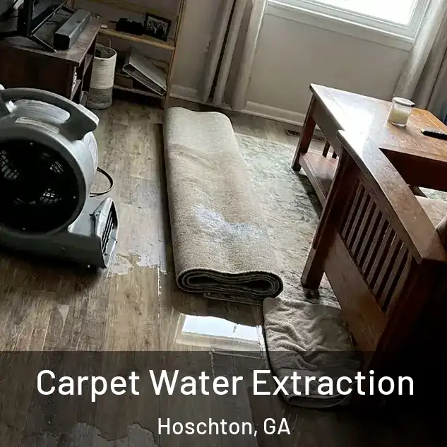  Carpet Water Extraction Hoschton, GA