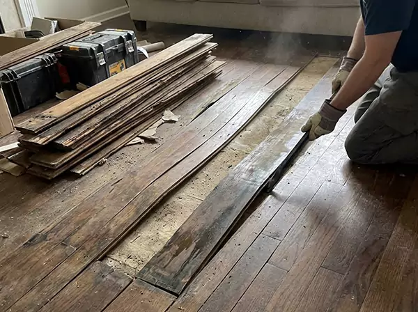 Water Damage Drying in Hoschton