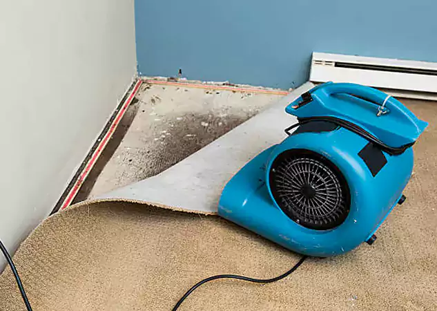 Your Water Damage Experts in Hoschton, GA