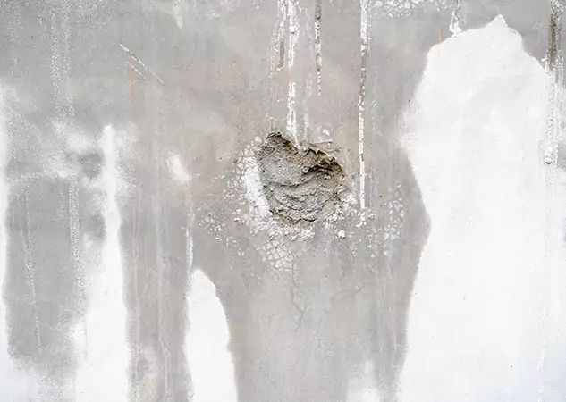 Your Mold Mitigation Solutions Partner in Hoschton, GA