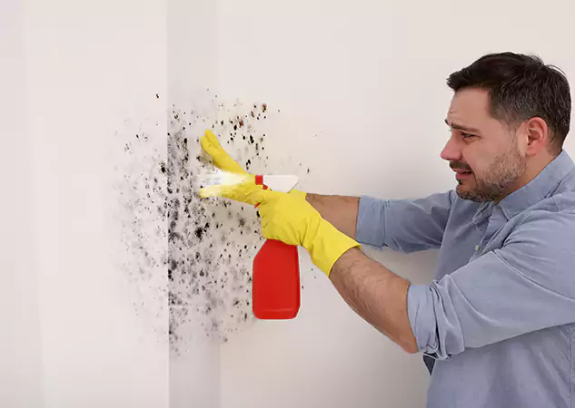 Your Water Mold Fire Restoration Partner in Hoschton, GA