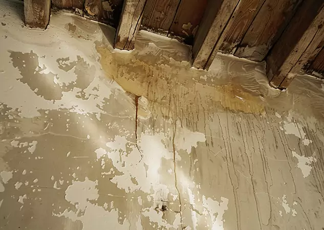 Your Trusted Restoration Company in Hoschton, GA
