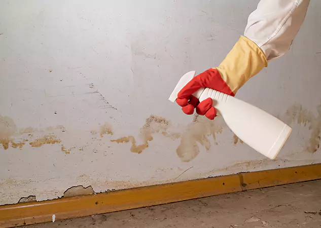 Your Water Restoration and Mold Remediation Specialists in Hoschton, GA