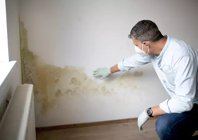 Reach Our Remediation Team Before Damage Grows in Hoschton, GA!