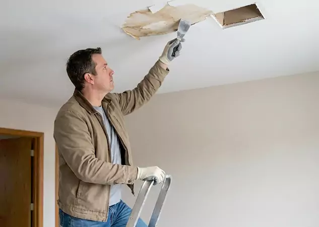 Your Ceiling Damage Repair Experts in Hoschton, GA