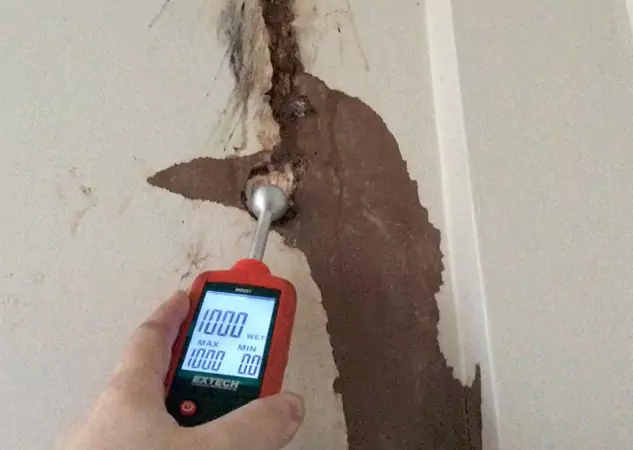 Your Water Damage Assessment Partner in Hoschton, GA