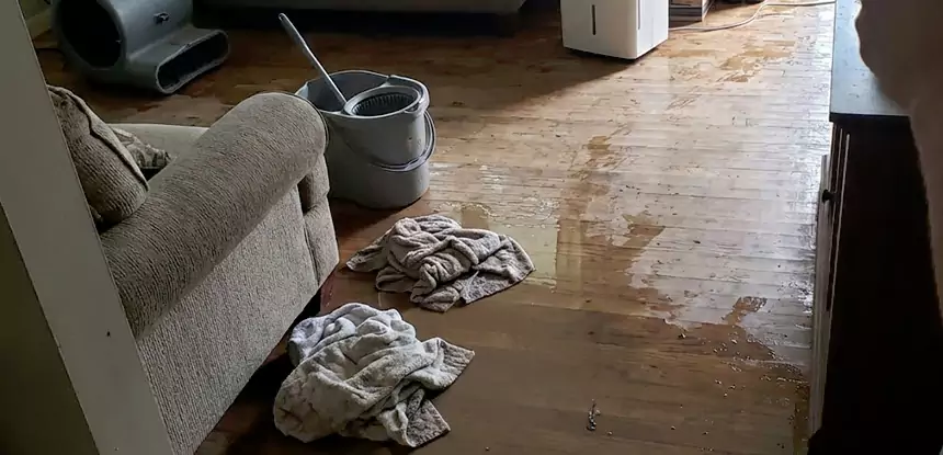 Professional Basement Water Remediation Services in Hoschton, GA