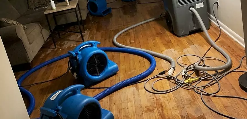 Basement Flood Restoration Services in Hoschton