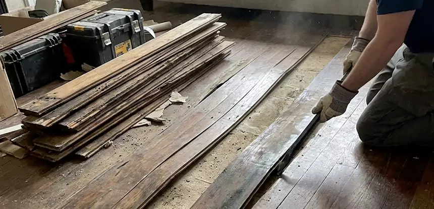 Wood Rot and Fungus Repair in Hoschton