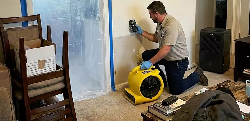 Carpet Water Damage Repair Hoschton