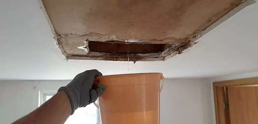 Ceiling Mold Repair Hoschton