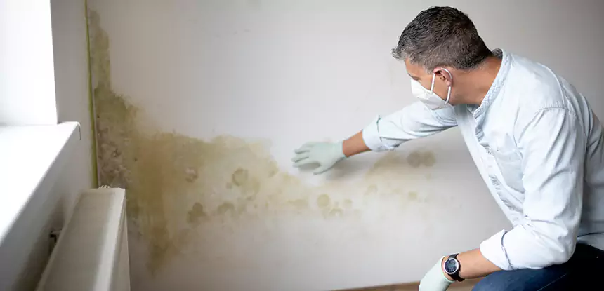 Mold and Water Damage Repair in Hoschton