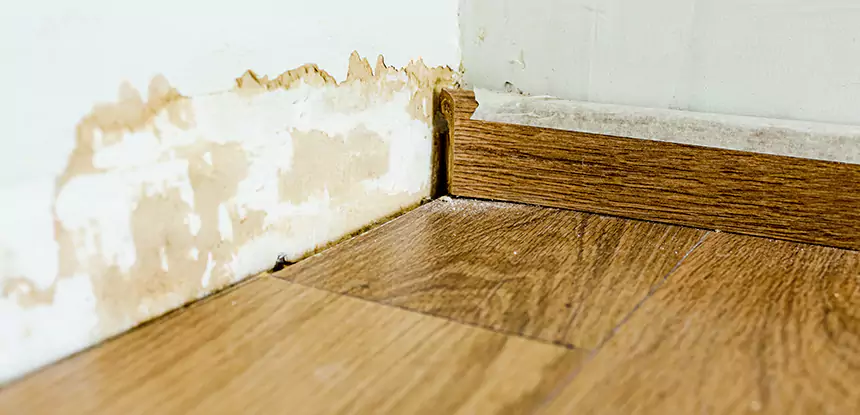 Professional Fix Water Damaged Wood Services in Hoschton, GA