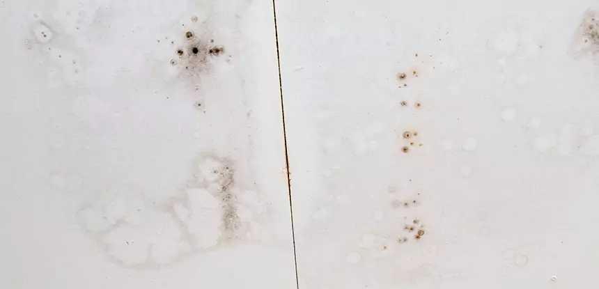 Professional Water Stain Repair Services in Hoschton, GA