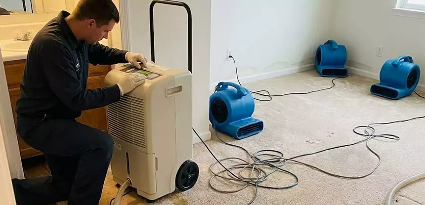 Professional Wet Carpet Removal Services in Hoschton, GA