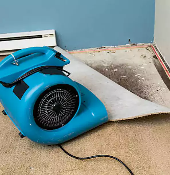 Why Hoschton Trusts Hoschton Restoration Pro for Carpet Flood Recovery?