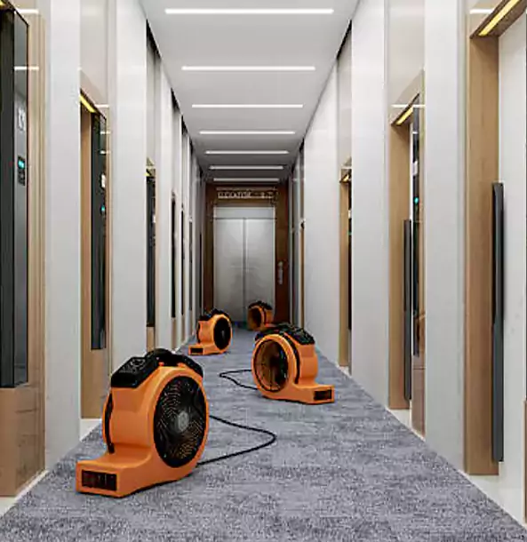 Why Hoschton Trusts Hoschton Restoration Pro?