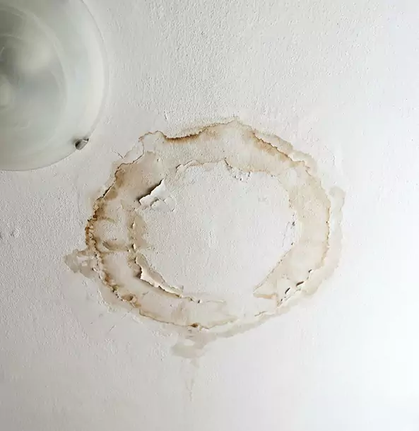Why Hoschton Property Owners Choose Hoschton Restoration Pro for Ceiling Water Damage Restoration?