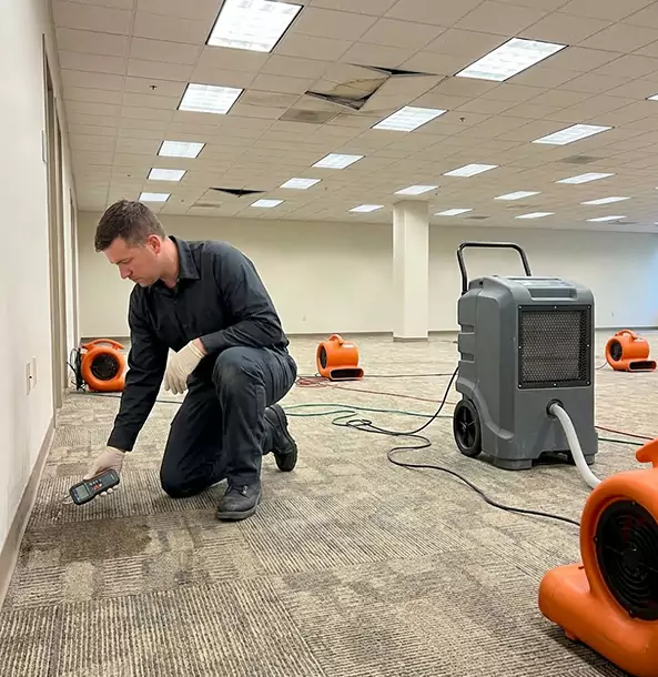 Why Hoschton Businesses Choose Hoschton Restoration Pro for Water Cleanup?