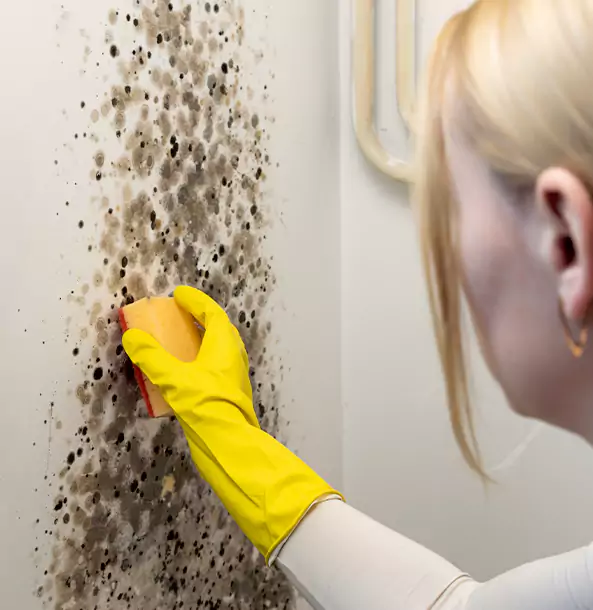 Why Hoschton Restoration Pro Leads Mold Remediation in Hoschton?