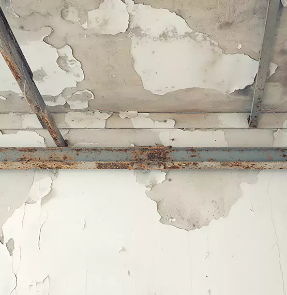 Why Hoschton Restoration Pro Is the Right Choice in Hoschton, GA?