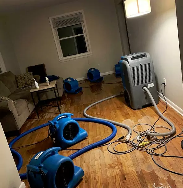 Why Hoschton Property Owners Rely on Hoschton Restoration Pro for Remediation?