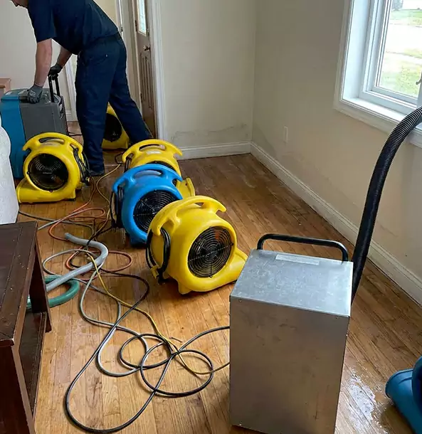 Why Hoschton Property Owners Choose Hoschton Restoration Pro for Remediation?