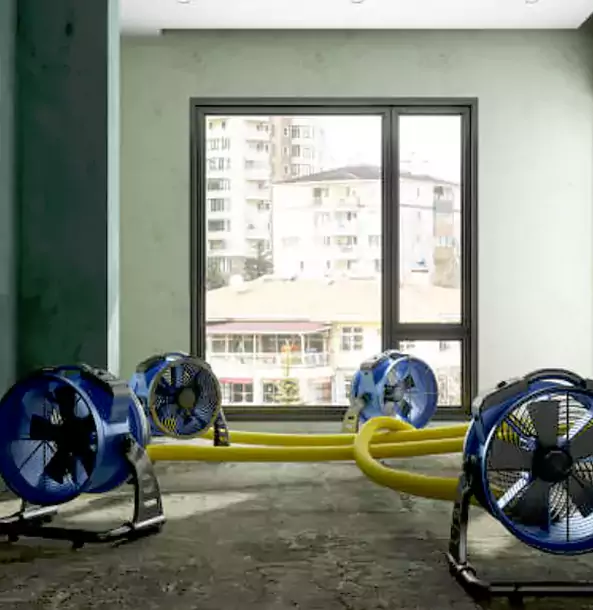 Why Hoschton Property Owners Trust Hoschton Restoration Pro for Water Damage Drying?
