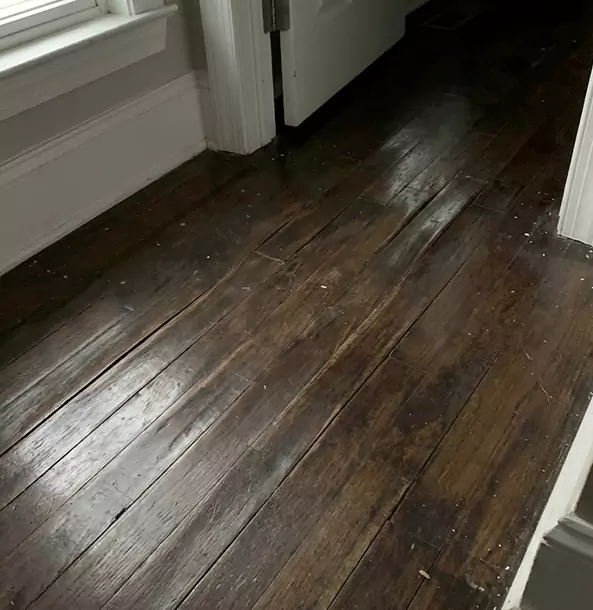 Why Hoschton Homeowners Trust Hoschton Restoration Pro to Fix Water Damaged Wood?