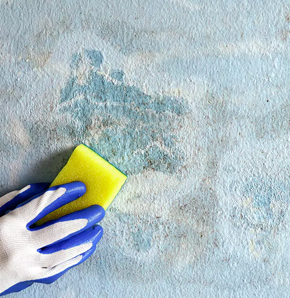 Why Hoschton Restoration Pro Is the Right Choice in Hoschton, GA?