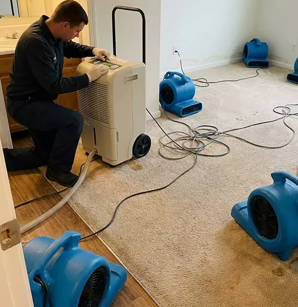 Why Hoschton Homeowners and Businesses Trust Hoschton Restoration Pro for Carpet Drying?