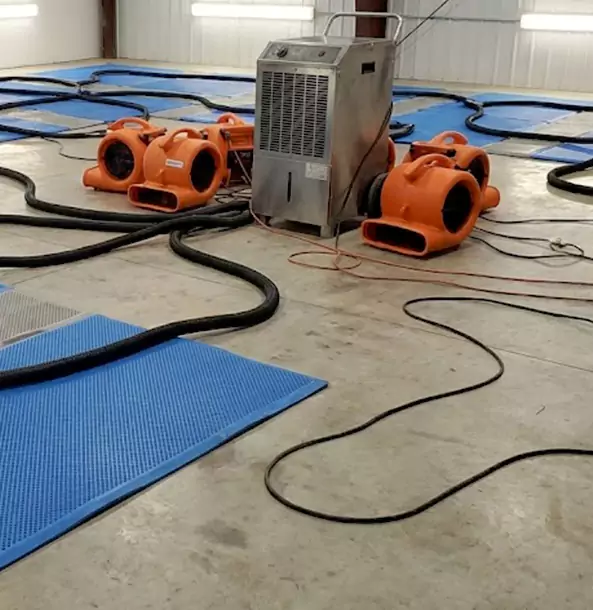 Why Hoschton Homeowners and Businesses Choose Hoschton Restoration Pro for Wet Carpet Removal?