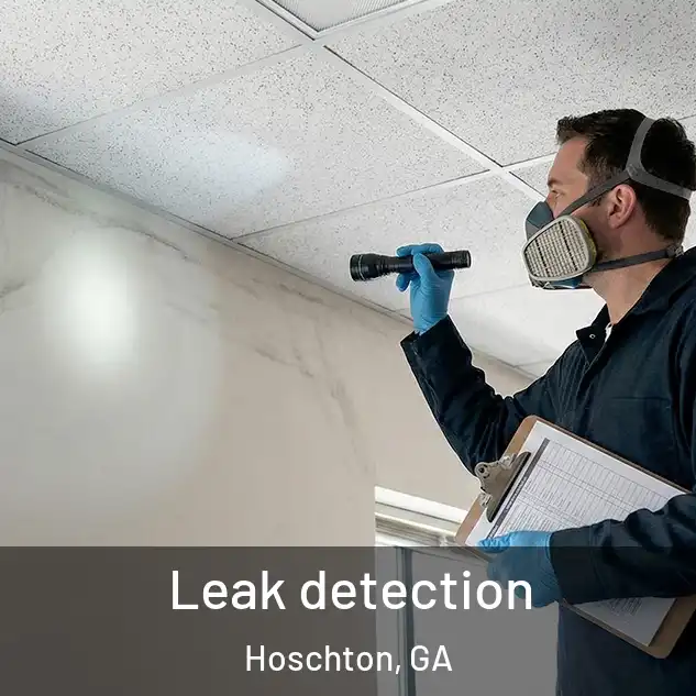 Leak detection Hoschton, GA