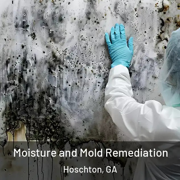  Moisture and Mold Remediation Hoschton, GA
