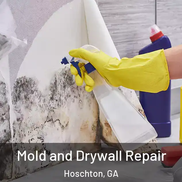  Mold and Drywall Repair Hoschton, GA