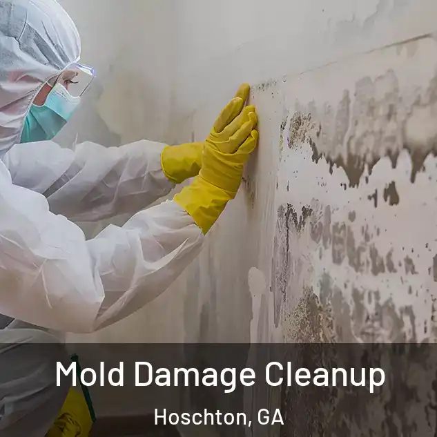  Mold Damage Cleanup Hoschton, GA