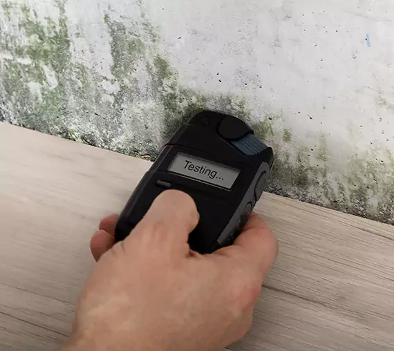 Mold Remediation Service Hoschton