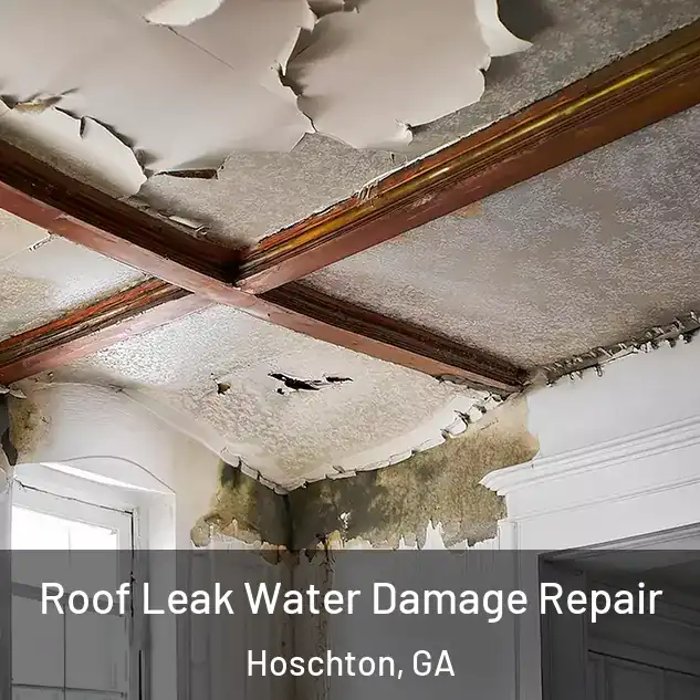  Roof Leak Water Damage Repair Hoschton, GA