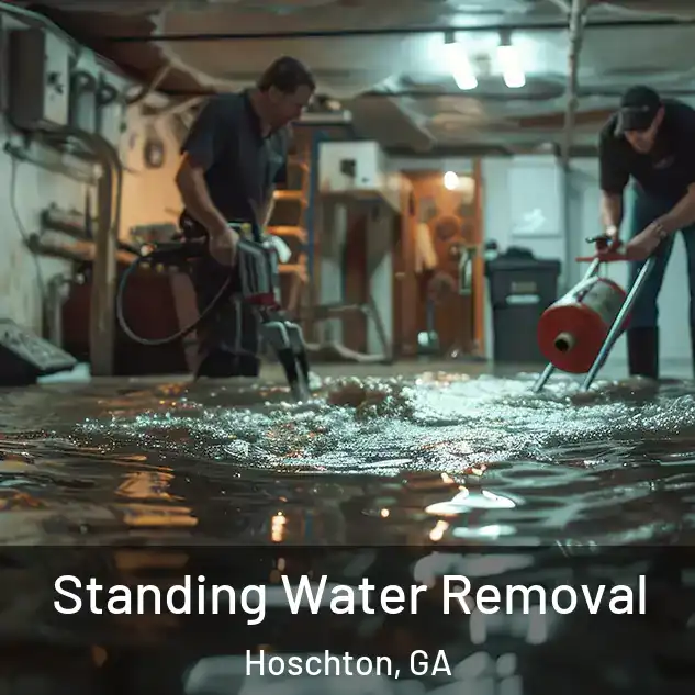  Standing Water Removal Hoschton, GA