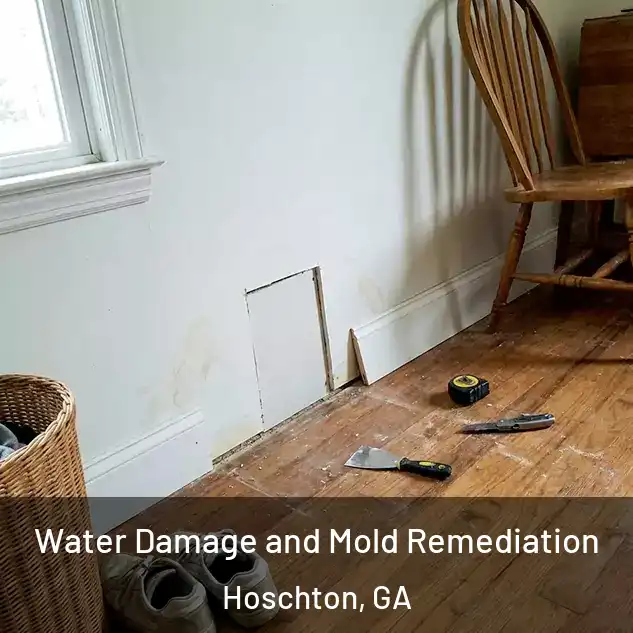  Water Damage and Mold Remediation Hoschton, GA