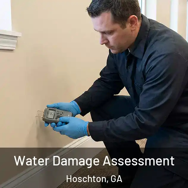  Water Damage Assessment Hoschton, GA