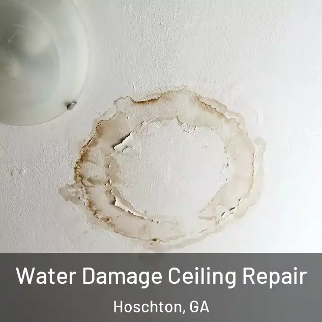  Water Damage Ceiling Repair Hoschton, GA