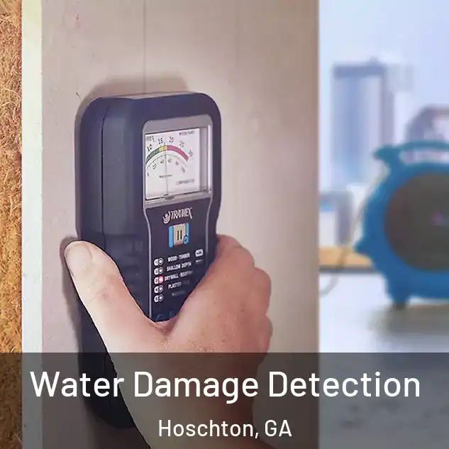  Water Damage Detection Hoschton, GA