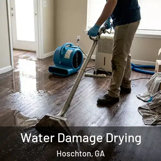  Water Damage Drying Hoschton, GA