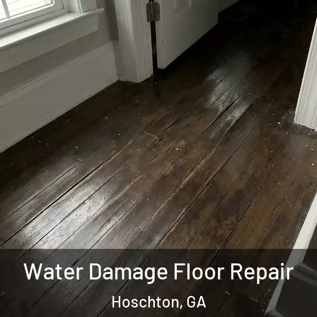  Water Damage Floor Repair Hoschton, GA