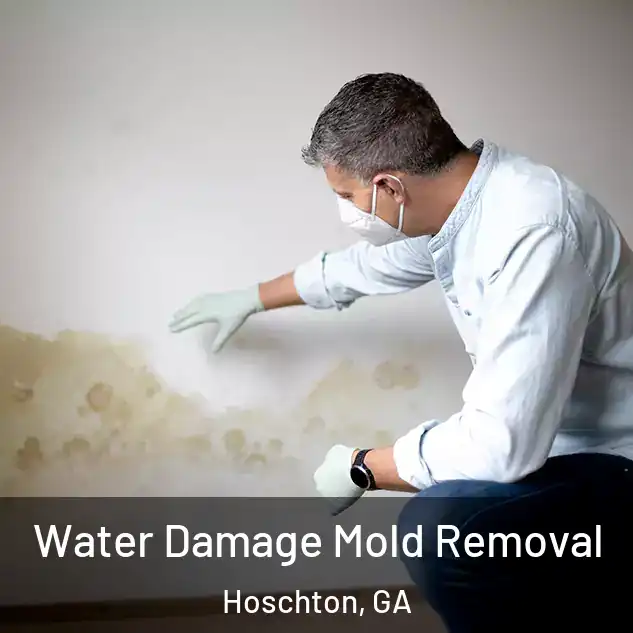 Water Damage Mold Removal Hoschton, GA