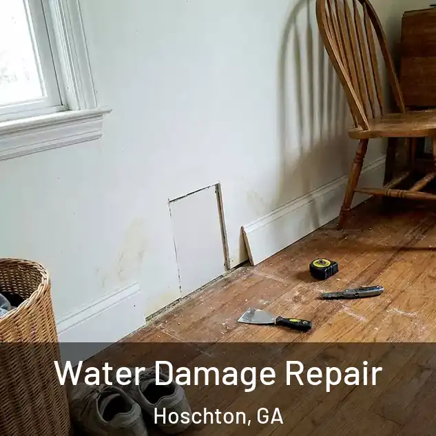  Water Damage Repair Hoschton, GA