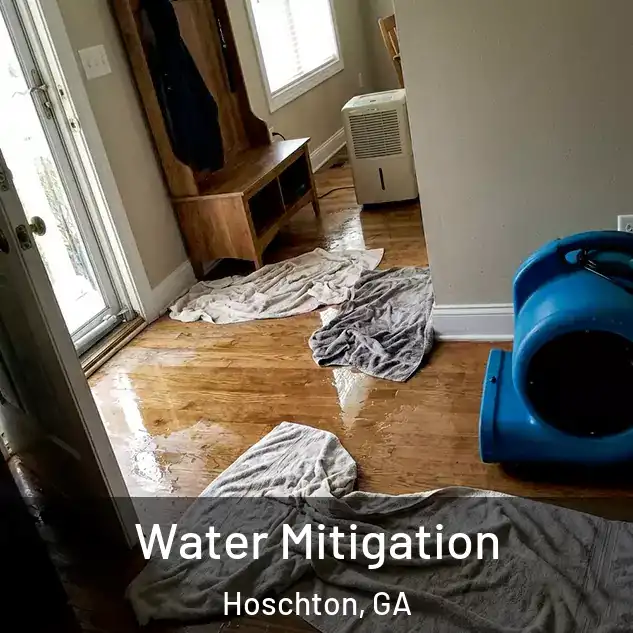 Water Mitigation Hoschton, GA
