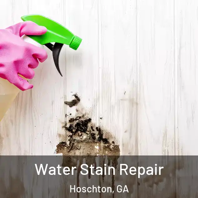  Water Stain Repair Hoschton, GA